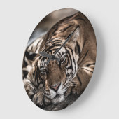 Ranthambore tijger: close-up fijne kunst. grote klok (Hoek)