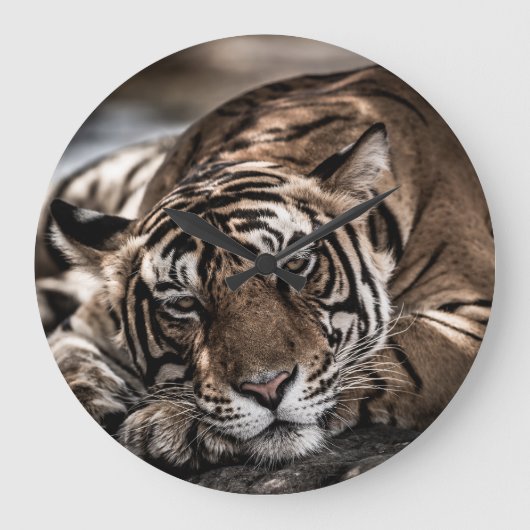 Ranthambore tijger: close-up fijne kunst. grote klok (Voorkant)
