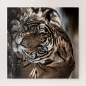 Ranthambore tijger: close-up fijne kunst. legpuzzel (Horizontaal)