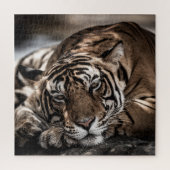 Ranthambore tijger: close-up fijne kunst. legpuzzel (Verticaal)