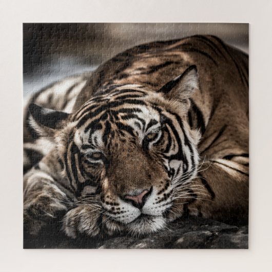 Ranthambore tijger: close-up fijne kunst. legpuzzel (Verticaal)