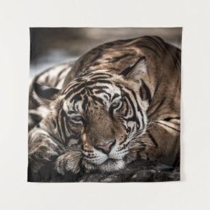 Ranthambore tijger: close-up fijne kunst. wandkleed