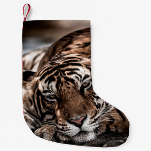 ranthambore Wilde tijger Fine art afbeelding portr Kleine Kerstsok