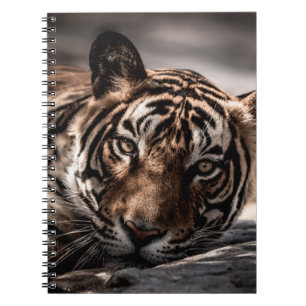 ranthambore Wilde tijger Fine art afbeelding portr Notitieboek