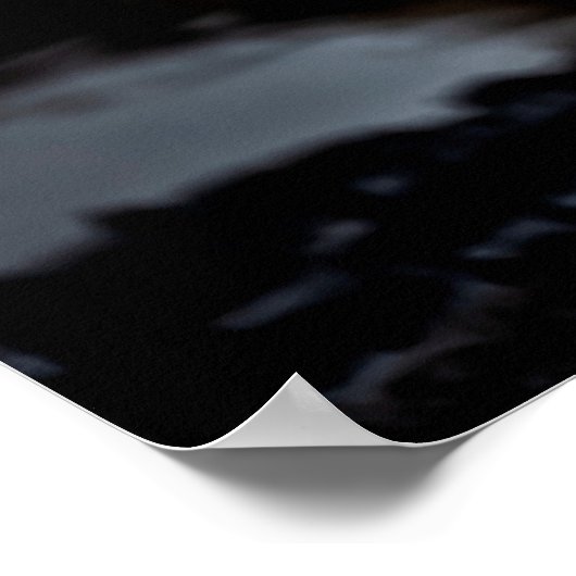 ranthambore Wilde tijger Fine art afbeelding portr Poster (Hoek)