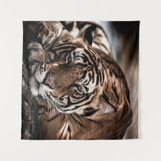 ranthambore Wilde tijger Fine art afbeelding portr Wandkleed (Voorkant (horizontaal))