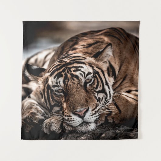 ranthambore Wilde tijger Fine art afbeelding portr Wandkleed (Voorkant)