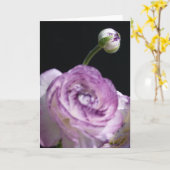 Ranunculus asiaticus White Persian buttercup II Kaart (Gele Bloem)