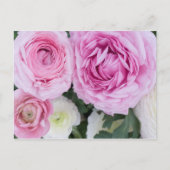 Ranunculus Briefkaart (Voorkant)