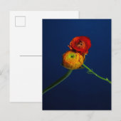 Ranunculus-Briefkaart Briefkaart (Voorkant / Achterkant)