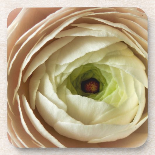 Ranunculus Flower Bier Onderzetter (Voorkant)