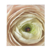 Ranunculus Flower Notitieblok (Voorkant)