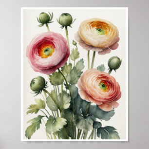 Ranunculus Flowers Handgemaakte Water Color Poster