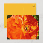 Ranunculus MS Awareness Briefkaart (Voorkant / Achterkant)