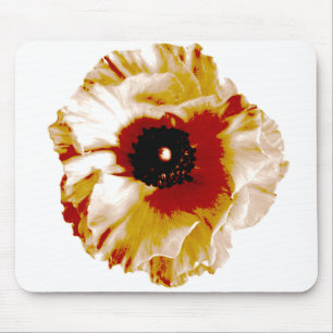 ranunculus muismat