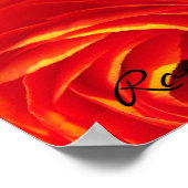 Ranunculus Poster (Hoek)