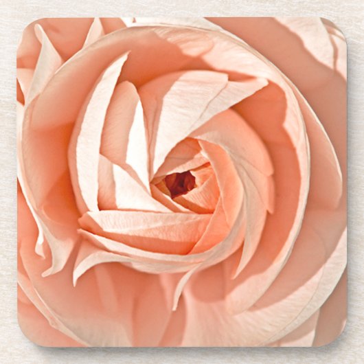 Ranunculus Swirl Drankjes Onderzetter (Voorkant)