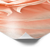 Ranunculus Swirl Foto Afdruk (Hoek)