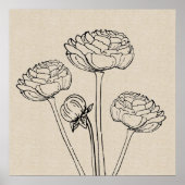 Ranunculus Tekendoek Bloem Poster (Voorkant)