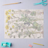  Ranunculus Wilde Bloembloemen Weefpapier Tissuepapier (Craft)