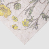  Ranunculus Wilde Bloembloemen Weefpapier Tissuepapier (Detail)