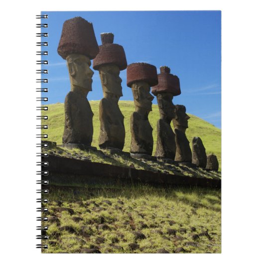 Rapa Nui artefacten, Paaseiland Notitieboek (Voorkant)