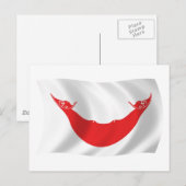 Rapa Nui Vlag Postkaart (Voorkant / Achterkant)