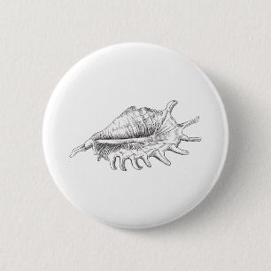 Rapana Seashell Ronde Button 5,7 Cm