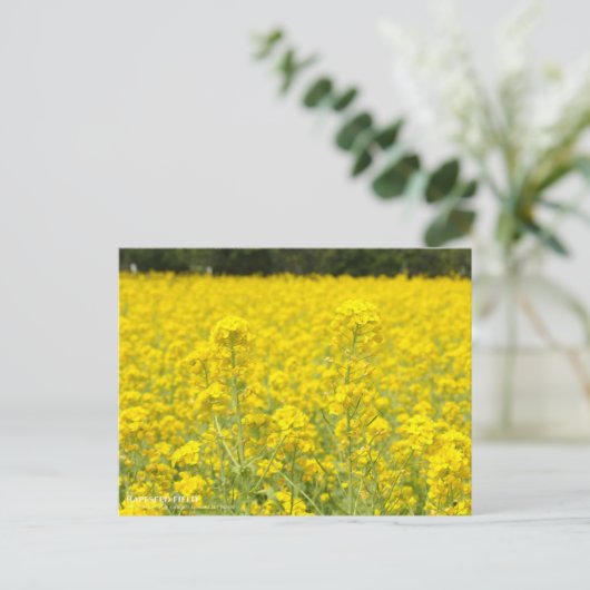 Rapeseed-veld:Briefkaart Briefkaart (Staand voorkant)