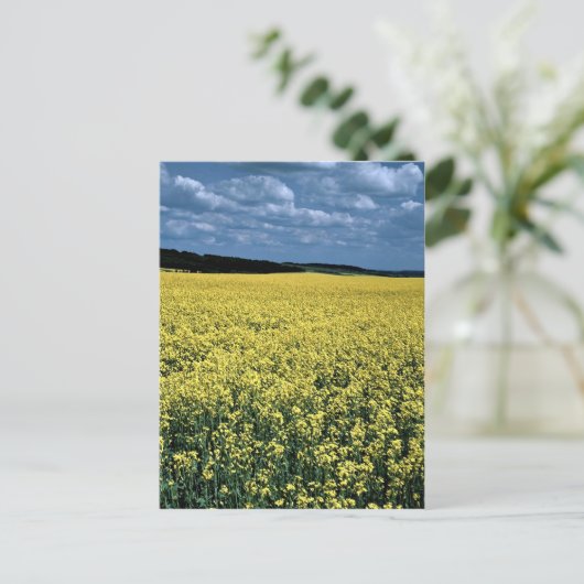 Rapeseed, Wiltshire, Engeland Briefkaart (Staand voorkant)