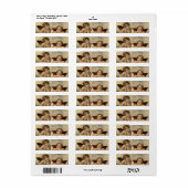 Raphael Cherubs Engelen Etiket (Full Sheet)