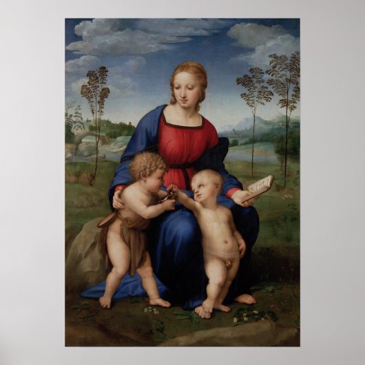 Raphael - Madonna Del Cardellino Poster (Voorkant)