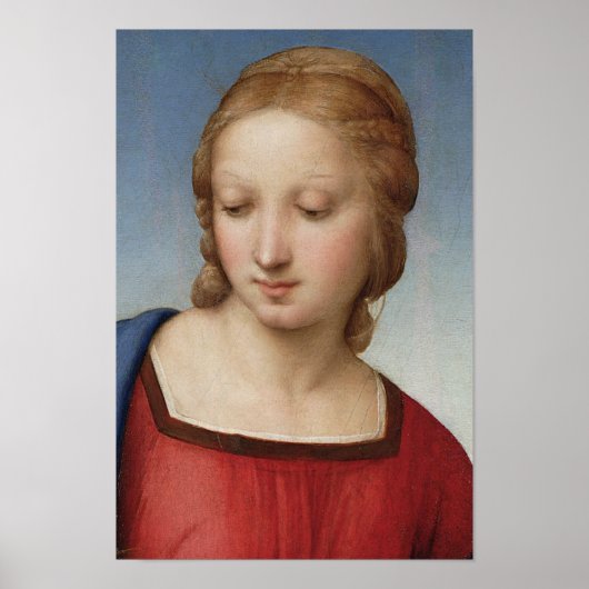 Raphael Madonna Goldfinch (detail) Fine Art Poster (Voorkant)