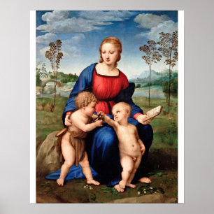 Raphael - Madonna van de Goldfinch Poster