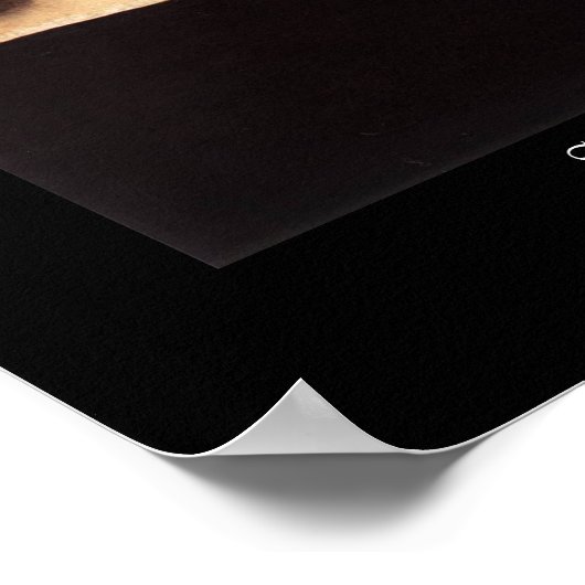 Raphael Self-Portrait Poster Print (Hoek)