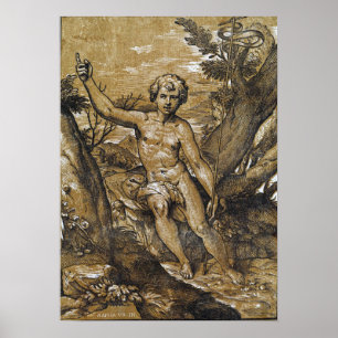 Raphael - sint-janskruid poster