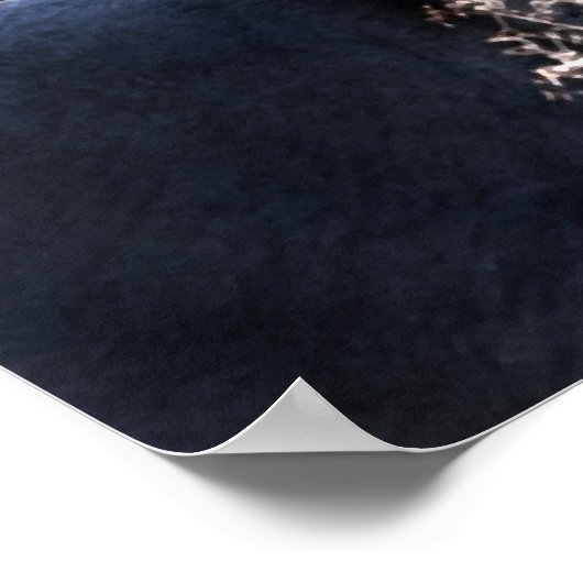 "Raphael & Snowy Trees" Poster (Hoek)