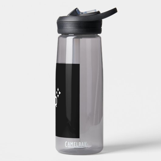 Raphael's Quest - Officieel Youtube-kanaal Waterfles (Links)