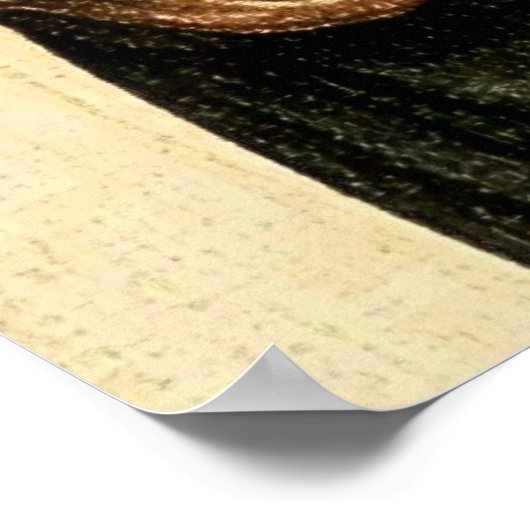 Raphaëls "Sistine Madonna" Detail (circa 1513) Poster (Hoek)