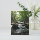 Rapiden Briefkaart (Staand voorkant)