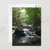 Rapiden Briefkaart (Voorkant / Achterkant)