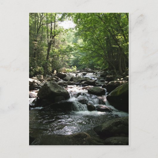 Rapiden Briefkaart (Voorkant)