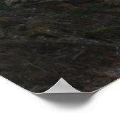 Rapiden in BC Poster (Hoek)