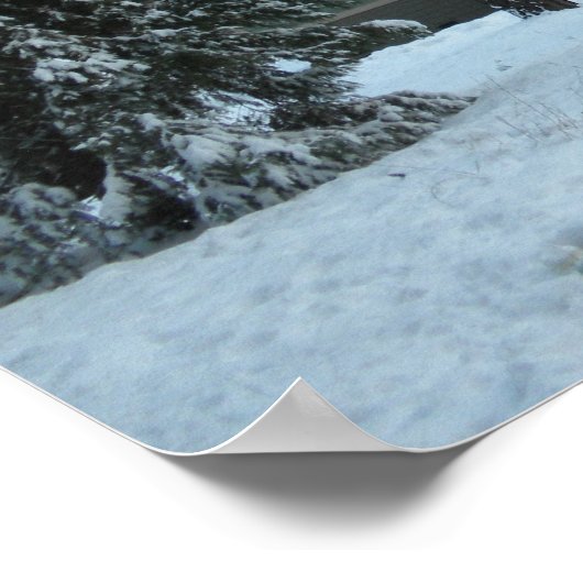 Rapporteur voor advies: poster (Hoek)