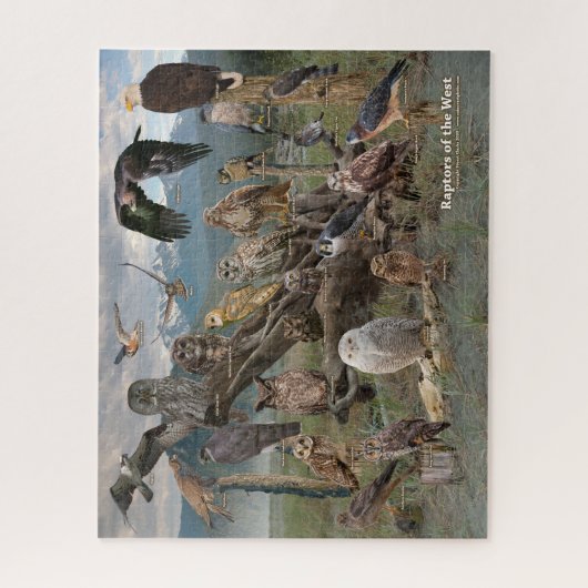 Rapporteurs van de West-Puzzle Legpuzzel (Verticaal)