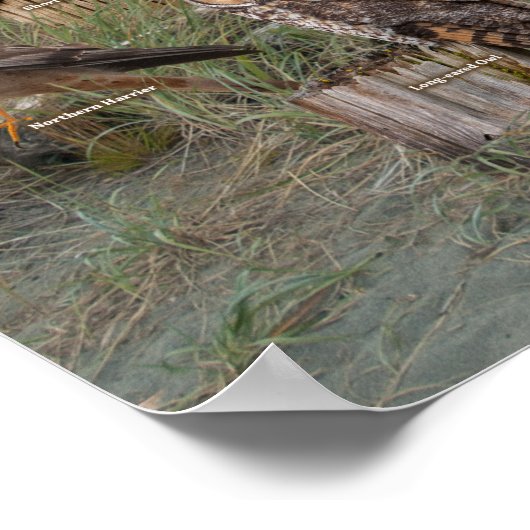 Rapporteurs van het Westen 2019 Poster (Hoek)