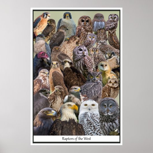 Rapporteurs van het Westen Poster (Voorkant)