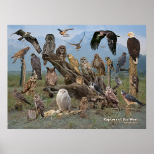 Rapporteurs van het Westen Poster