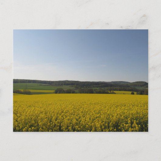 Rapsfeld Briefkaart (Voorkant)