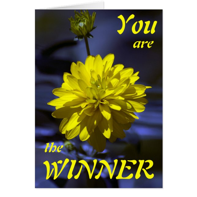 Rapsodie in blauw en geel U BENT DE WINNER (Voorkant)